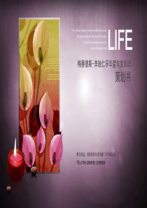 梅赛德斯-奔驰仁孚华星年度活动策划书