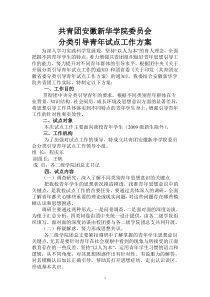 分类引导青年试点工作方案