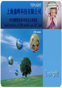 鼎晖PPT稿