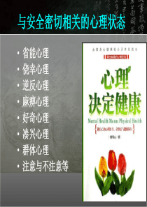 与安全相关的心理