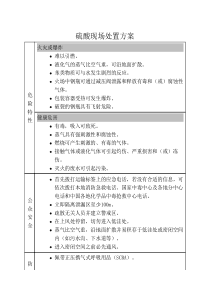 硫酸现场处置方案