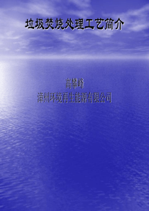 垃圾焚烧处理工艺