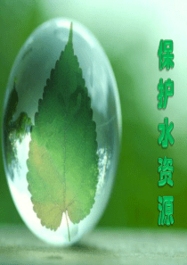 保护水资源.ppt