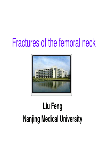 Fractures of the femoral neck 股骨颈骨折