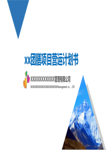 食堂项目计划书(优化)