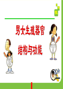 男女生殖器官结构与功能