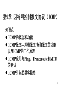 自己总结的ICMP协议