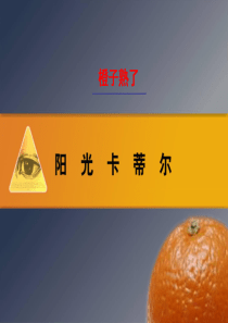 06年天津阳光卡蒂尔开盘活动案