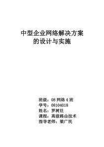 89中型企业网络解决方案的设计与实施