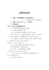 董杜庄镇知青活动方案安排