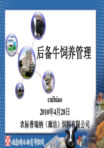 后备牛饲养管理