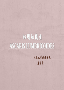 寄生虫