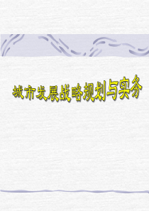 城市发展战略规划研究 (新)