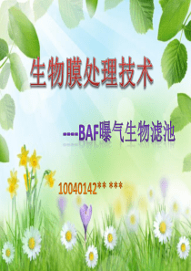 曝气生物滤池介绍PPT