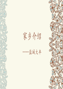 家乡大丰介绍