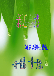 亲近自然――写景要抓住特征(作文课件)