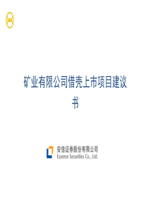 矿业有限公司借壳上市项目建议书