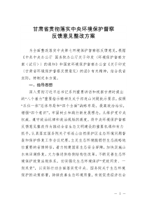 甘肃环保督察整改方案