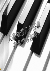贝多芬传课件
