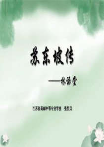 苏东坡传(节选)