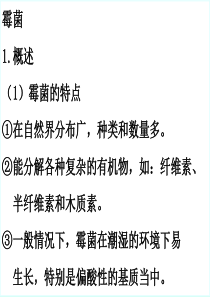 霉菌