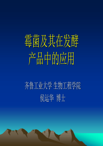 霉菌及其在发酵产品中的应用