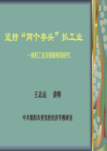坚持”两个拳头”抓工业绵阳工业发展新格局研究