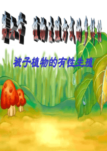 25被子植物的有性生殖