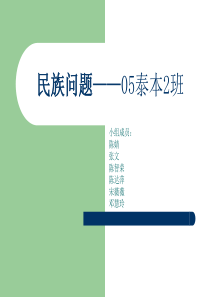 民族问题――05泰本