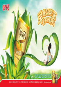 好粥道广告创意