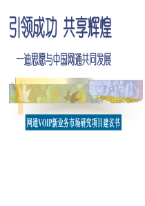 网通VOIP新业务市场研究项目建议书