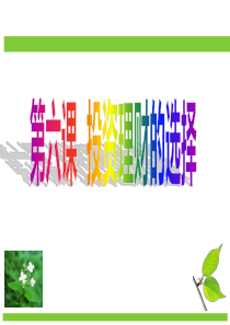 第六课__投资理财的选择ppt