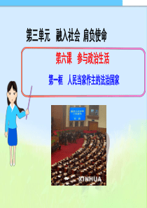 第六课__第一框__人民当家作主的法治国家精品中学ppt课件