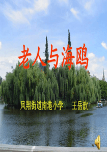 老人与海鸥强烈推荐