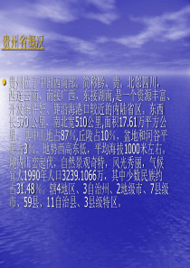 矿产内容研究