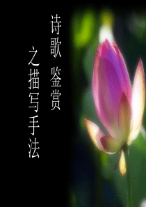 89诗歌鉴赏之描写手法