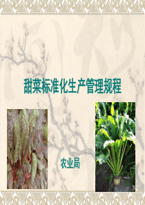甜菜标准化生产管理技术