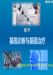 81基因诊断与基因治疗