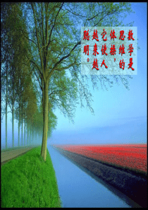 ：3.5探索与表达规律(1)课件ppt