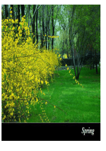 公开课how to polish writing