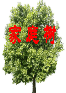 《家庭树》教学课件.ppt