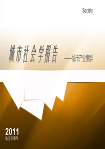城市社会学报告
