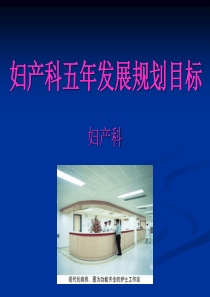 45妇产科五年发展规划目标借鉴