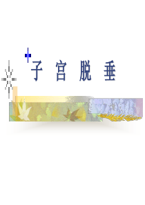 45子宫脱垂