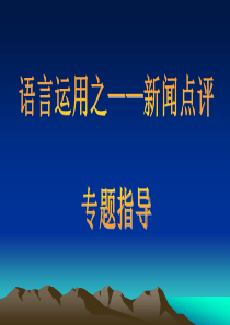 高中语文新闻点评类试题专题指导课件