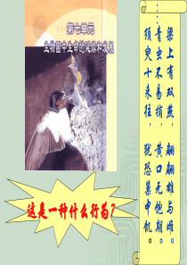 这是一种什么行为