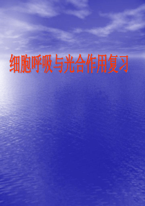 高一生物必修一细胞呼吸与光合作用复习课件课件.ppt