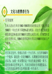 文化社会阶层与消费者行为