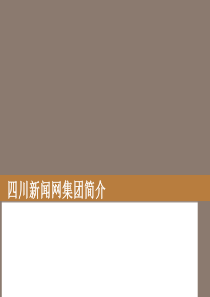 四川新闻网简介 111113