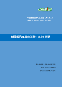 中国新能源汽车月报12月报